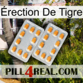 Érection De Tigre cialis4